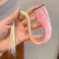 Extension de cheveux colorée enfant pince rose vert dégradé tinsel postiche fille - Mèche de Coloration d'Oreille / 1 Pièce/Paquet / Rose et Vert