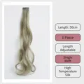 Extension de cheveux enfants pince ondulée gris cendré 50cm fibre synthétique - Cheveux Bouclés à Clip Unique / 1 Pièce/Pack (50cm) / Gris Aoki