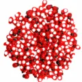 Houten lieveheersbeestje ambachten voor DIY microlandschap vetplanten mos decoratie - 8mm*11mm / Rood Lieveheersbeestje met Lijm