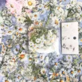 Detailed view of daisy theme transparent PET waterproof sticker pack with floral backing card. - Daisy Wonderland