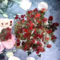 Floral rose sticker pack, PET transparent waterproof plant design for journaling and crafts. - Rose Love