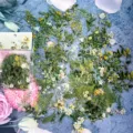 Botanical floral PET sticker pack, swaying flowers series, transparent waterproof DIY decor. - Mysterious Leaf Green
