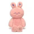 Weicher rosa Plüschhase mit großen blauen Ohren, süßes Kuscheltier Stofftier für Kinder Geschenke. - Rosa und Blaues Ohr Kaninchen / Größe M (39x24cm)