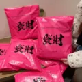 Rosa wasserdichte Versandtaschen mit chinesischer Kalligrafie, dicke Poly Versandtaschen. - 28x42cm / Reich Text Versandtasche