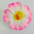 Artificial hibiscus flower head pink white gradient DIY hair accessory craft floral decor - Pink White