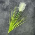 Pianta di erba della pampa artificiale, stelo di erba cipollina verde per decorazioni. - Gambo Singolo 80CM / Erba e Piuma Verde Chiaro