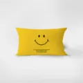 Vista dettagliata di un cuscino rettangolare in velluto morbido con una faccina e una citazione. - 30x50cm(Senza Anima) / Smile 1