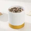 Nordic minimalist white ribbed flower pot with gold base and decorative stones for succulent plants. - Gold Bottom Stone Pot