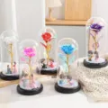 Artificial eternal rose in glass dome with couple figurines and LED lights for gift. - Colorful Couple Rose-Red