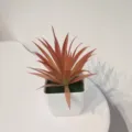 Close-up detail of small autumn series artificial succulent plant in a white square pot. - Style 1