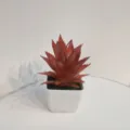 Close-up of autumn color artificial succulent plant in white square pot for home desk decor. - Style 2