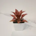 Artificial autumn color succulent plant in white pot, perfect for detail home decor. - Style 4