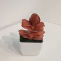 Künstliche Sukkulente in weißem quadratischem Topf, herbstfarbene kleine Kunstpflanze Deko. - Stil 7