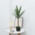 Detailed view of artificial yucca plant bonsai in black pot for home decor scene display. - 80cm Single Head Sword Orchid