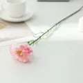 Closeup detail of a single artificial carnation flower on white table for home decor. - Pink