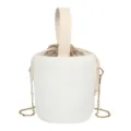 Joli sac seau pelucheux blanc avec poignée supérieure et chaîne dorée pour l'hiver. - Blanc
