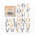 Vintage Alphabet PET Sticker Pack, retro Blumen Buchstaben für DIY Tagebuch Deko. - Flora Wörterbuch