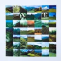 Square decorative stickers aesthetic nature scenery journaling craft paper set 49pcs - Wild Valley
