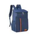Insulated lunch backpack for outdoor travel, portable cooler daypack with side mesh pockets and front storage. - Navy Blue