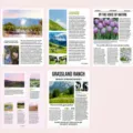 Carta materiale decorativa per giornale retro per bricolage di diario, 6 stili. - Prateria di Pascolo