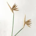 Detailed close-up view of artificial golden bird of paradise flower with green stem decor. - Gold