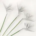 Detailed view of silver artificial Bird of Paradise flowers with green stems for home decor. - Silver
