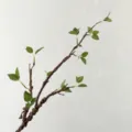 Artificial green leaves withered branch for home zen decor, flexible foam rattan floral material. - Green Leaves Dead Branches