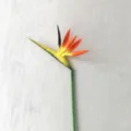 Artificial bird of paradise flower detail shot, single stem silk floral decor for home. - Orange Yellow