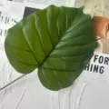 Artificial Monstera leaf faux green plant home decor floral arrangement prop realistic. - Green