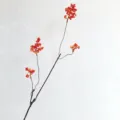 Rama de bayas rojas artificiales flor falsa para decoracion zen hogar, fruto de otoño principal. - S / Pequeño Naranja