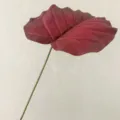 Artificial Anthurium Leaf Red Tropical Fake Plant Stem Home Decor Floral Arrangement - Dark Red