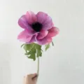 Tige unique de fleur d'anémone artificielle violette rose bouquet décoratif de table chic - Rose Pourpre