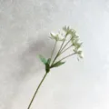 High quality artificial snow lotus flower white green silk floral stem for home decor sku - White
