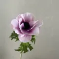Tige unique de fleur d'anémone artificielle violette décoration de maison chic - Centre Rose Violet
