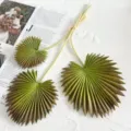 Artificial fan palm leaf, Morandi green plant accessory for home dining table decor. - Pointed Brown Palm Leaf