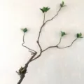 Close-up detail of artificial green leaves on a dry branch, ideal for floral decor. - Green Dead Branch