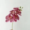 Mini 5-fork short-branch artificial phalaenopsis orchid for home decor and wedding arrangement. - Rose Red