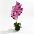 Belle Fausse Orchidée Phalaenopsis Artificielle en Pot Plante Décoration Intérieur Maison - Tissu en Soie Rose Violet