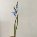 High-quality soft rubber single gladiolus artificial flower for wedding and home decor. - Light Blue