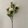 Ramo di finta peonia 5 teste peonia francese in seta artificiale decorazione casa matrimonio - Fiore Bianco Bordo Verde