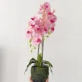 Artificial Phalaenopsis orchid potted plant in pink, realistic fake flower for home decor. - Pink