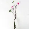 Artificial plum blossom branch, soft shapeable decorative flower for hotel home decor. - Begonia Purple Pink