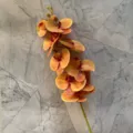 Artificial Phalaenopsis Orchid Branch 9 Heads Yellow Silk Flower Home Decor SKU - Color 2