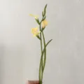 Yellow artificial gladiolus flower soft glue single stem for home decor and wedding floral - Yellow
