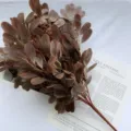 Artificial money leaf green plant bundle fake flower for wedding home room decoration. - Dark Coffee