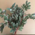 Bouquet de plantes artificielles feuilles d'eucalyptus avec baies blanches et 9 branches. - Vert Automne
