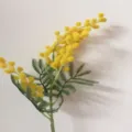 Fausse branche de mimosa jaune artificielle plante en velours peluche pour déco maison - Jaune