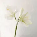 White artificial amaryllis flower branch for home decor and wedding party arrangement. - White Green