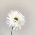 Artificial white gerbera daisy flower stem for home wedding decor and floral arrangements. - White