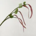 Artificial hanging bean pod plant fake decorative flower for home decor and model room displays. - Red